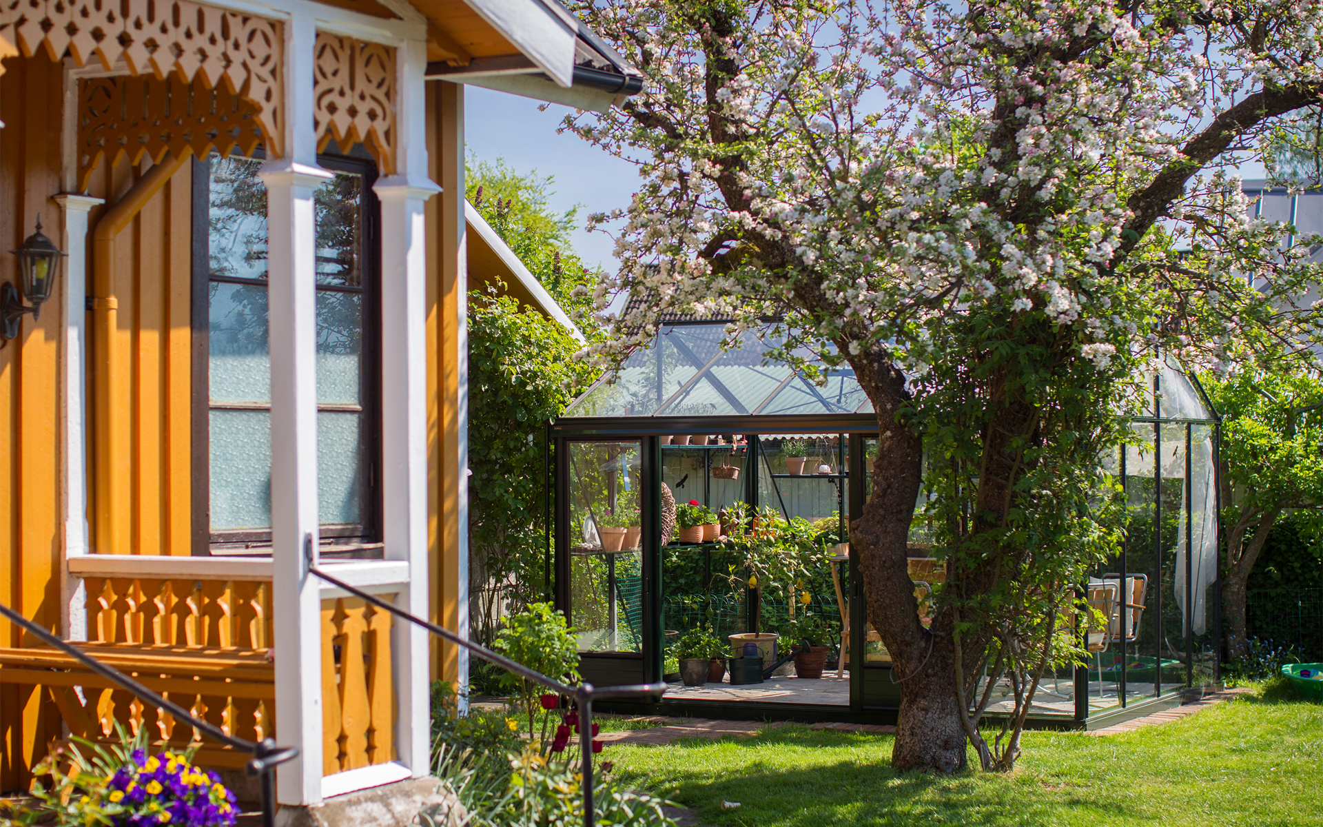 vaxthus-maxi-4-16,4kvm_svart_jonstorp-yellow-house.png